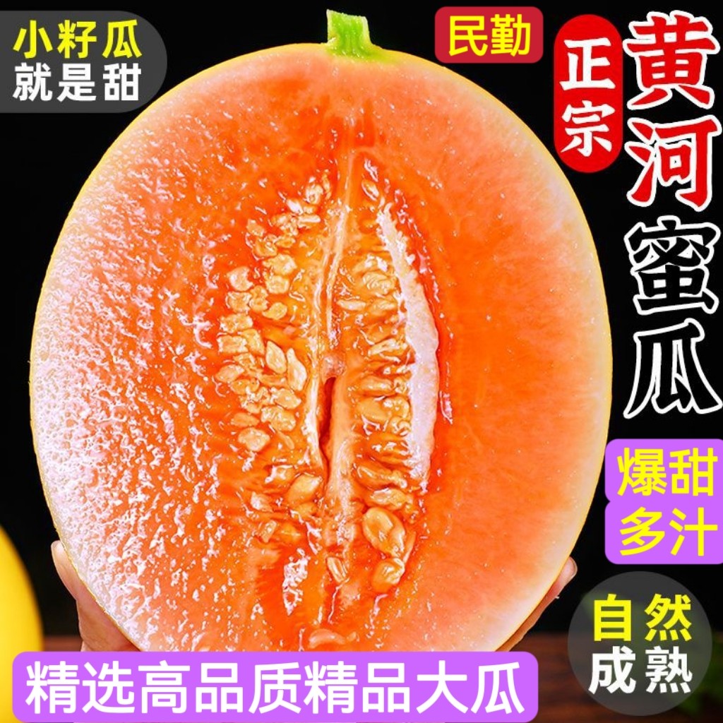 现货大果哈蜜瓜爆甜戈壁金瓜黄河黄金香瓜金红宝现摘新鲜应季水果