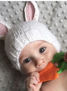 美国 Little Toader 小托德 婴儿童食物造型硅胶磨牙棒宝宝牙胶