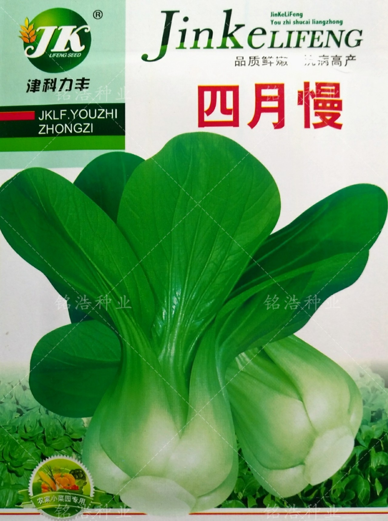 四月慢青菜种子上海青青菜种籽四月慢青菜籽油菜种籽四季蔬菜种子,农用物资,蔬菜种子/种苗,淘宝优惠券,粉丝福利购,淘宝优惠卷