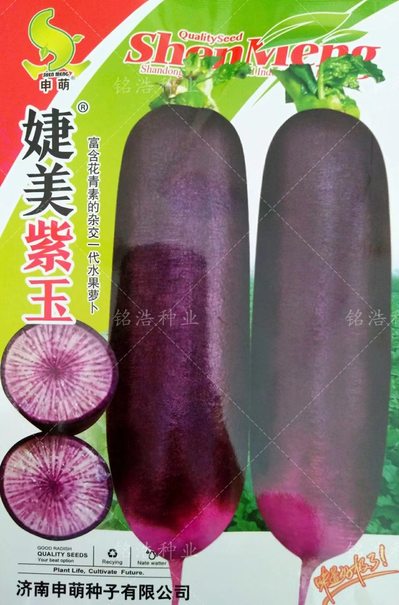 皮紫红白肉紫红皮高产大红萝卜