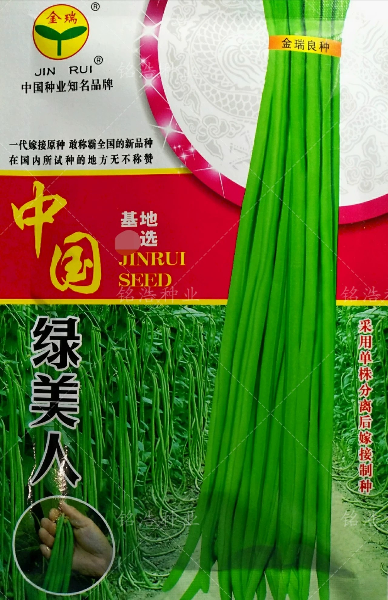 绿条豇豆种子特长高产耐热抗寒春秋季播农家豆角蔬菜籽中国绿美人