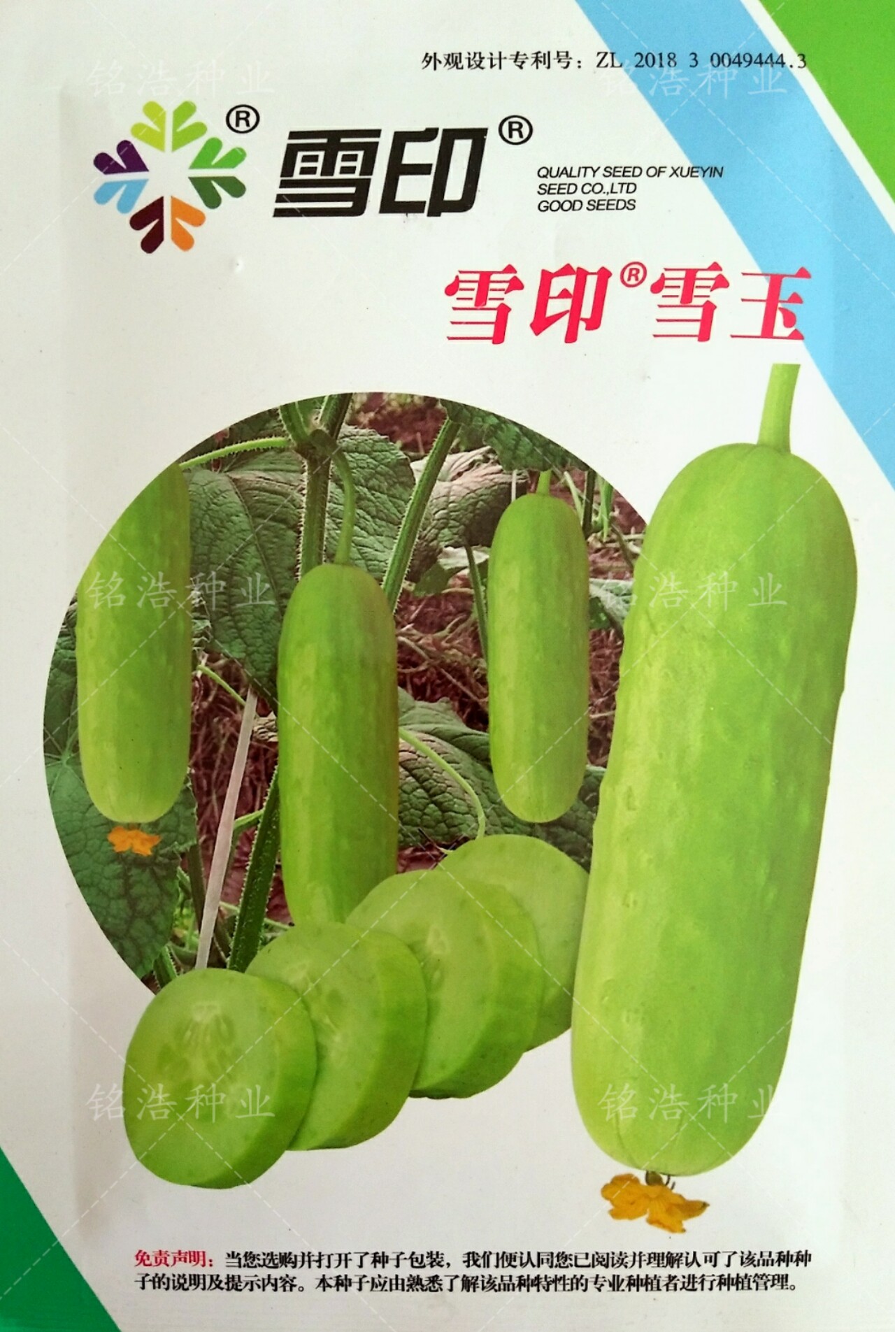 强雌白皮黄瓜种子甜脆无渣水果型耐寒早熟适应性广春秋蔬菜籽雪玉