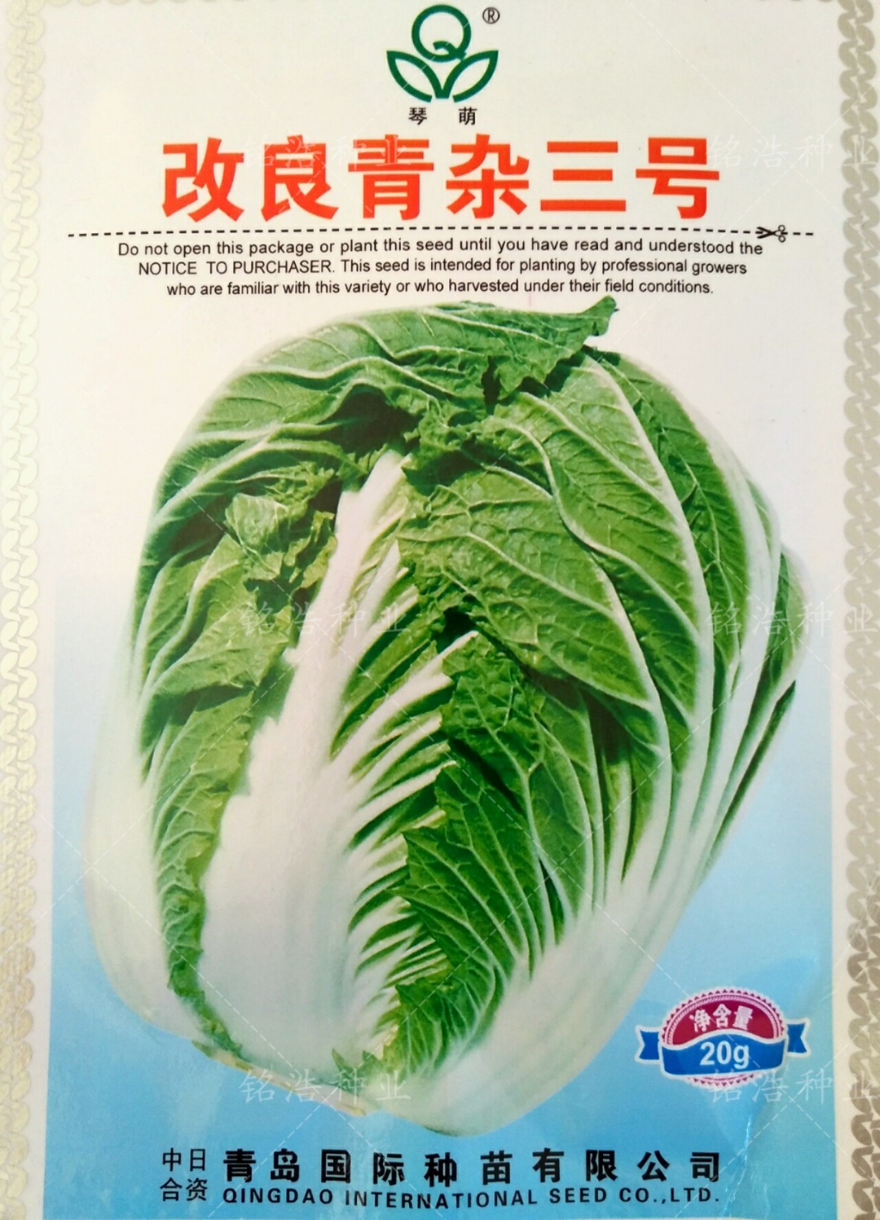 大白菜杂交一代种子籽结球紧实外叶绿抗病秋播蔬菜孑改良青杂三号