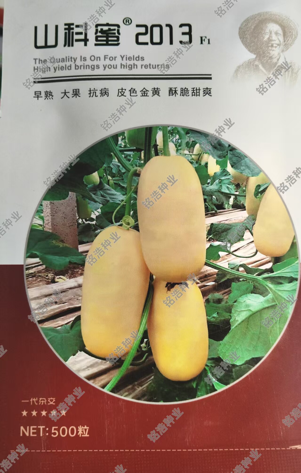 甜瓜种子种籽孑薄皮甜脆多汁爽口春夏季黄白皮白肉香瓜山科蜜2013