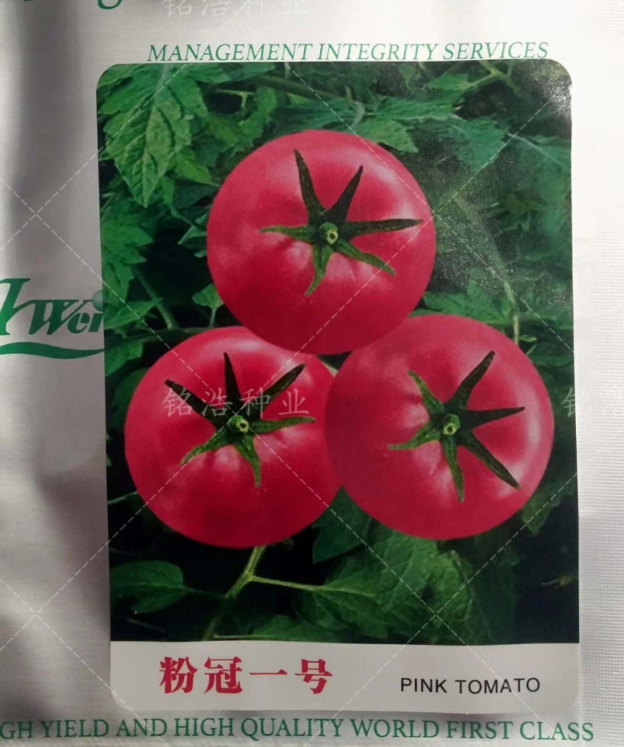西红柿种子圆形硬果大果粉番茄籽早熟高产不逡不裂不早衰粉冠一号