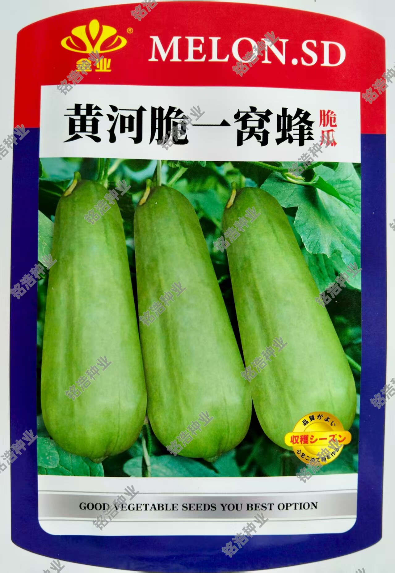 脆瓜种子菜瓜捎瓜籽早熟种籽春夏季播蔬菜农家生吃水果包邮一窝蜂
