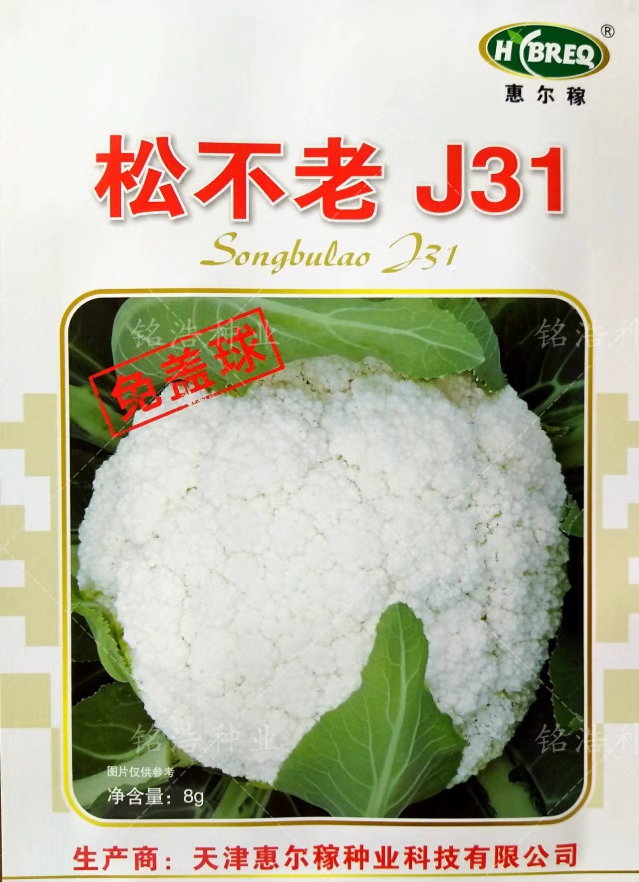 松花菜种子抗晒免盖球青梗花椰菜小粒高产花菜籽60天蔬菜孑松不老