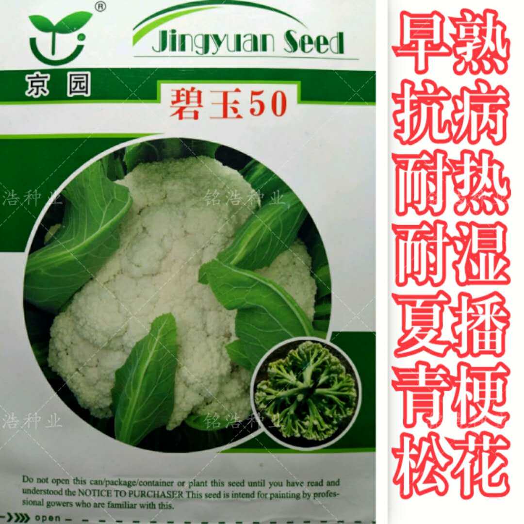 高产花菜种子青梗松花菜花椰菜甜脆耐热耐湿早熟夏播蔬菜籽碧玉50
