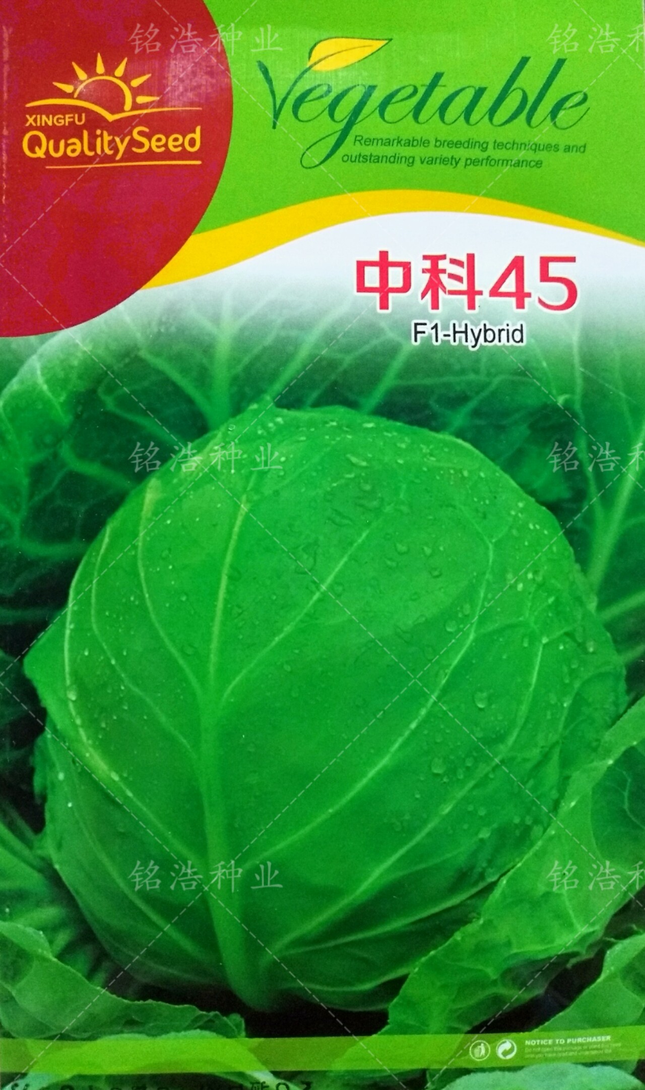 中科45甘蓝种子卷心菜包心菜包菜种籽大头菜早熟春秋冬季播蔬菜种