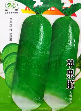 水果萝卜种籽青皮青肉翠绿正宗生食甜脆多汁春秋季蔬菜子孑苹果脆
