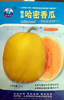 花皮红瓤无籽西瓜中熟超甜