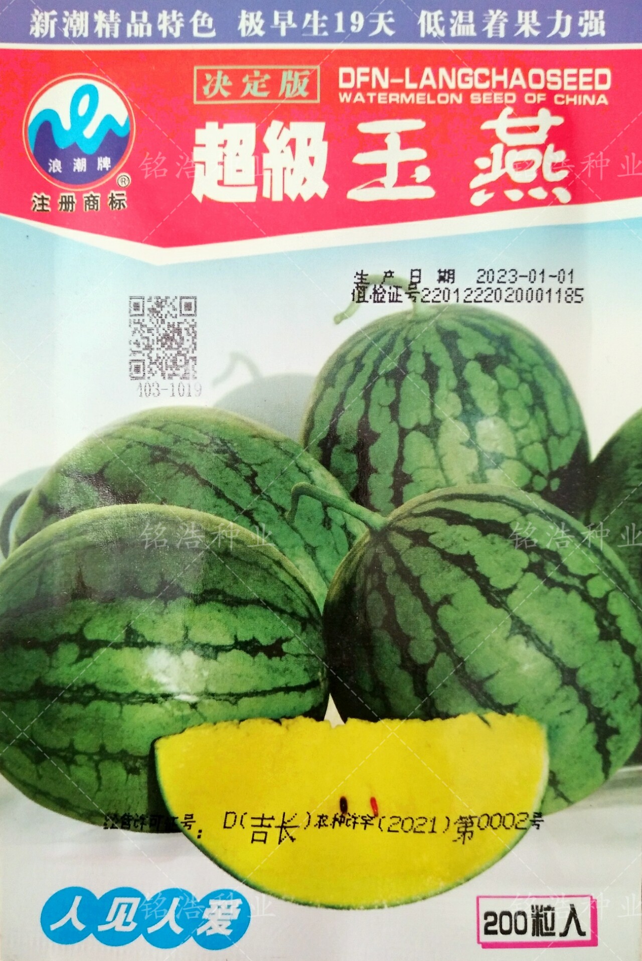 花皮黄瓤中小型西瓜酥爽多汁