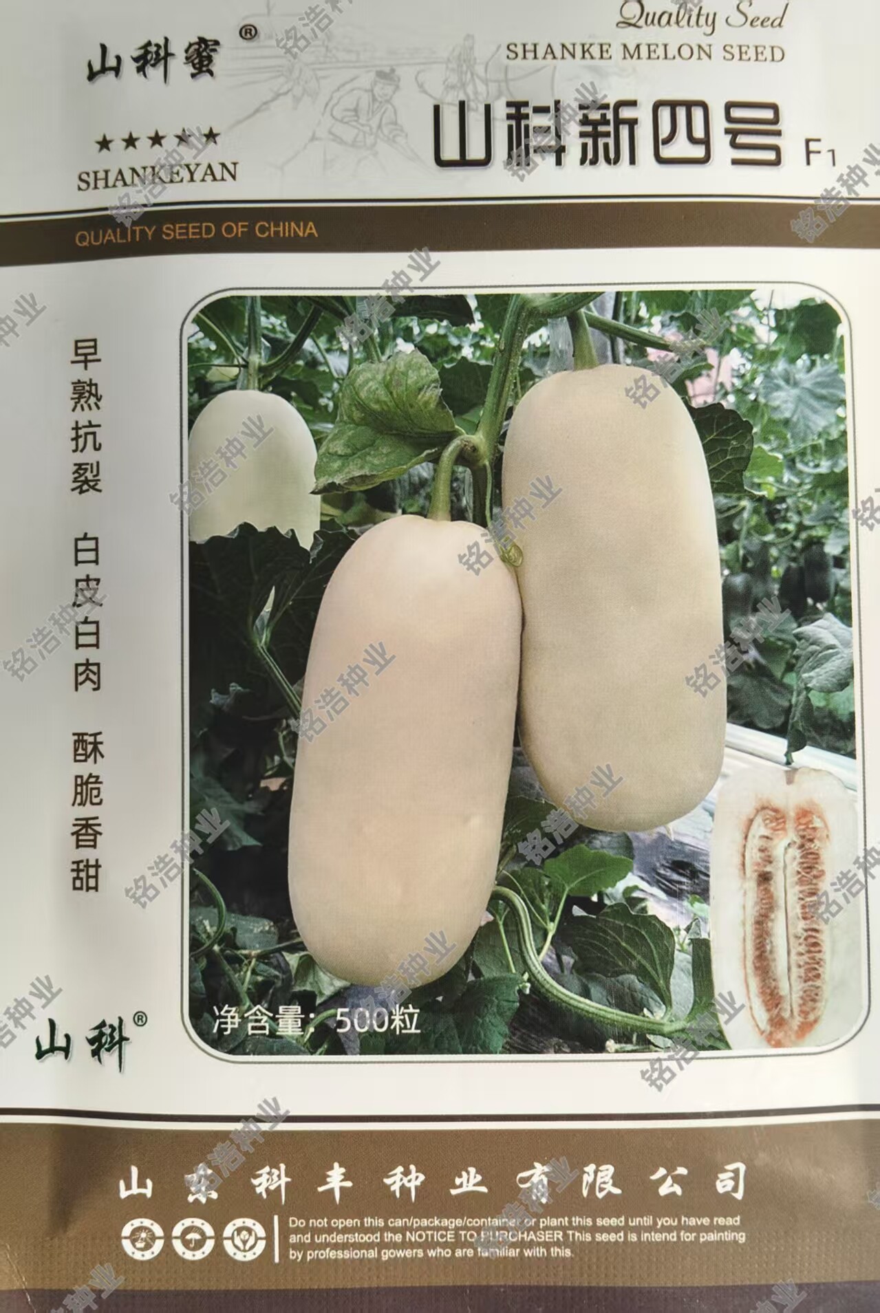 甜瓜种子种籽孑薄皮甜脆多汁爽口高产春夏白皮白肉香瓜山科新四号