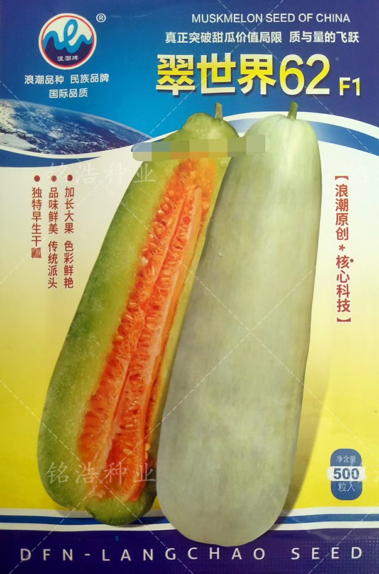 灰白皮甜瓜种籽子酥脆香甜瓜早熟高产抗病春夏季水果籽孑脆世界62