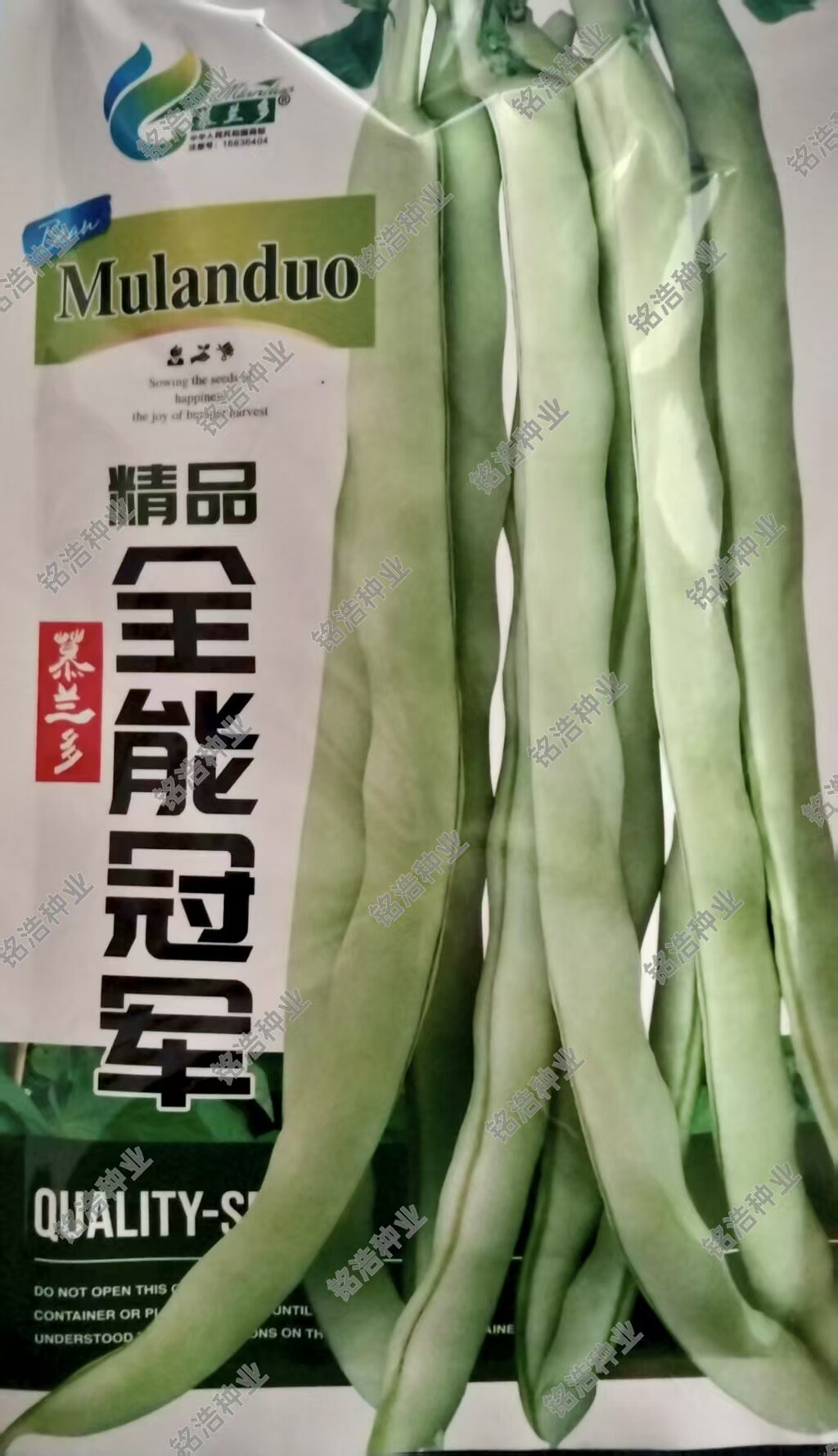 绿白色芸豆种子早熟肉厚圆扁豆角四季豆种籽高产春秋大面积播农家