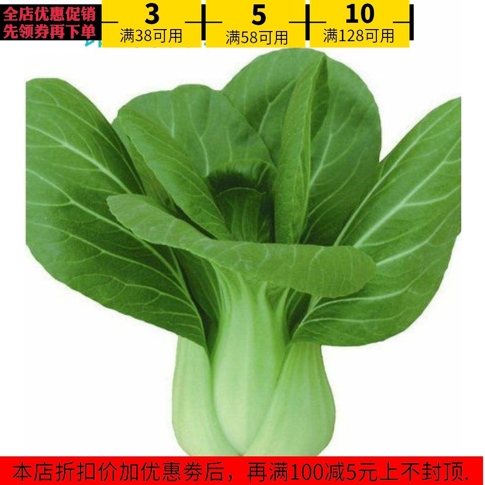 苏州青小白菜小油菜种子大田大棚菜园四季可播鸡毛菜小青菜快菜籽|ruв категории сельскохозяйственных материалов, семена/саженцы, семян овощей - от Buy2taobao.com для оказания профессиональной услуги покупки агента Taobao