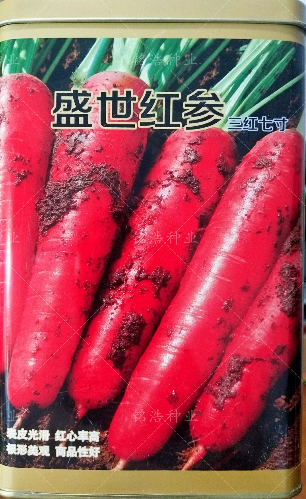 盛世红参三红七寸参胡萝卜种子甜脆水果萝卜种籽菜园秋季蔬菜种孑