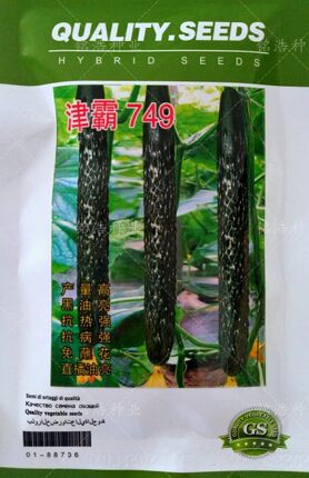 黄瓜种子籽高产短把瓜条顺直特耐热耐湿春夏秋季大棚露天津霸749