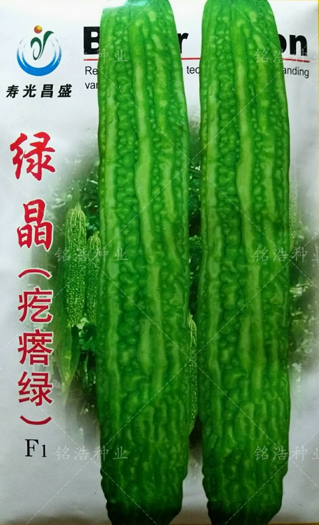 杂交苦瓜种子早熟耐热耐湿耐寒抗病高产齐顶油绿大刺瘤蔬菜籽绿晶