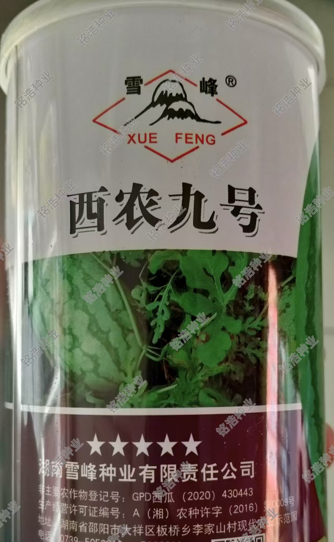 椭圆形大果西瓜种子花皮红瓤超甜甜脆爽口西瓜种籽春夏季西农九号
