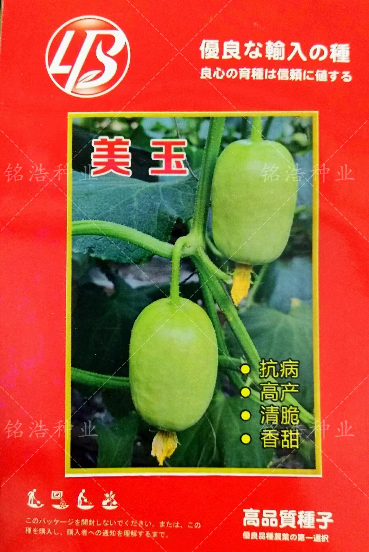 迷你黄瓜种子高产水果小黄瓜孑春秋四季大棚盆栽香甜脆青瓜籽美玉
