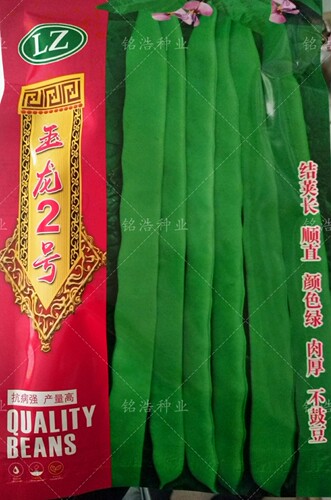 宽芸豆油豆角架豆种籽玉龙2号