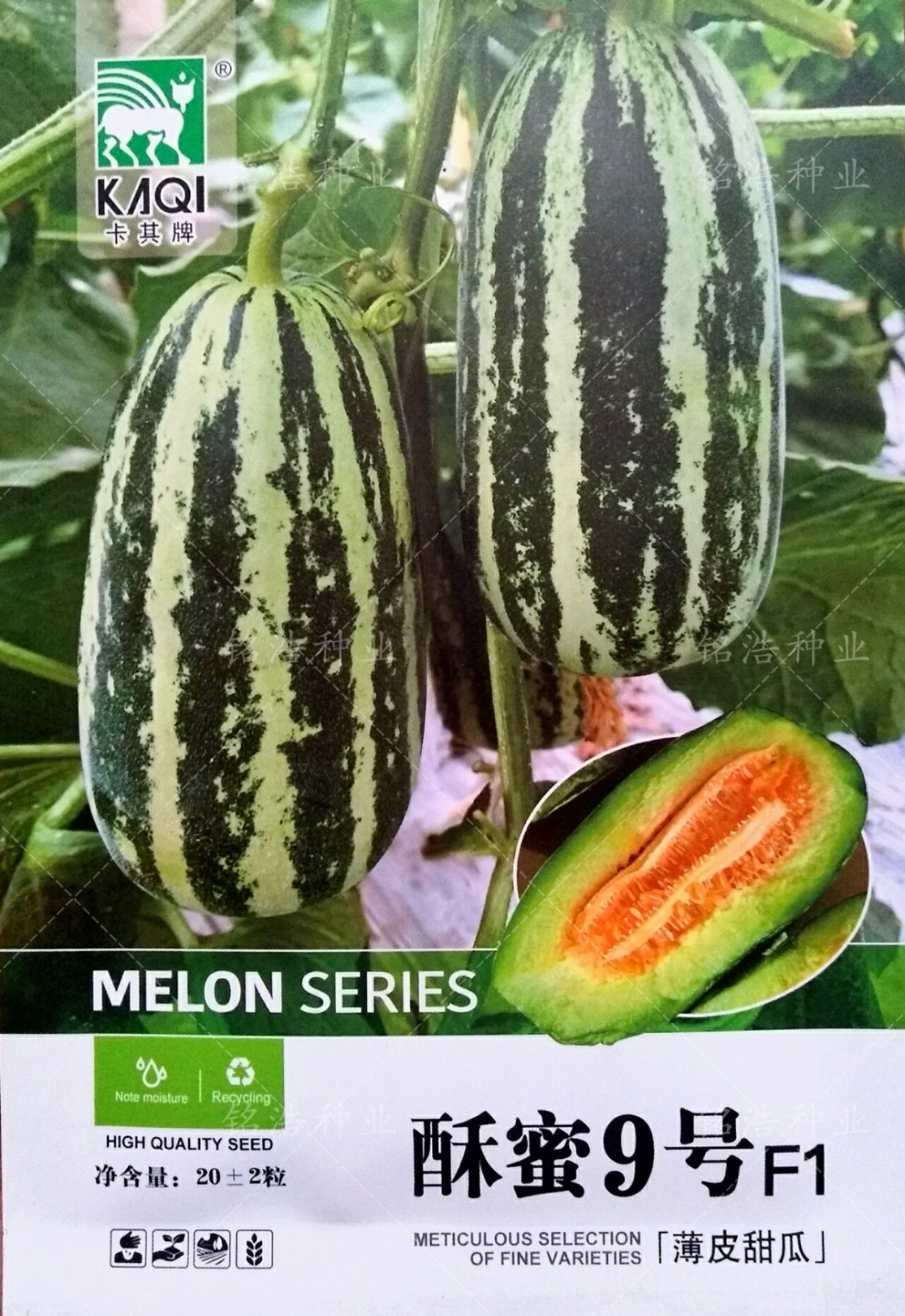 酥蜜9九号甜瓜种子超甜爽口博洋大香瓜甜瓜种籽春夏季高糖早熟