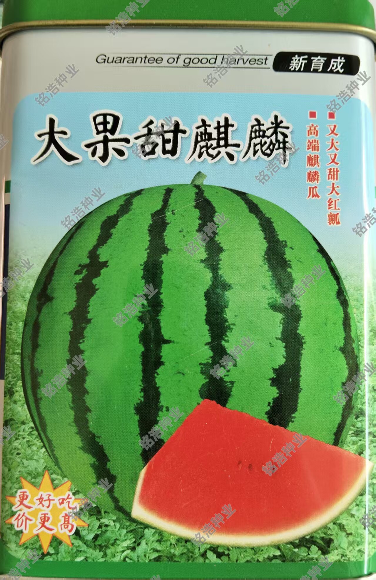 大果甜麒麟西瓜种子花皮红瓤甜脆爽口皮薄圆形西瓜籽春夏季水果孑