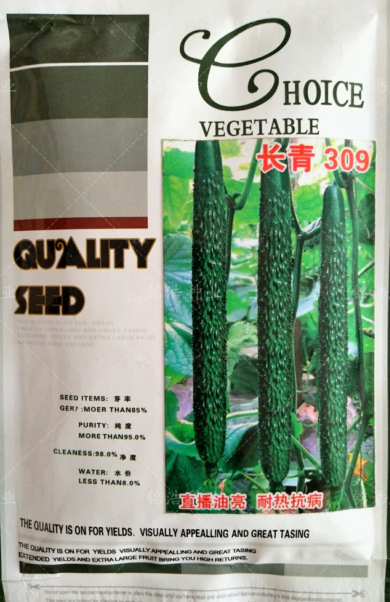 长青309高产耐热可越夏