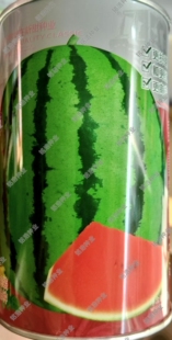 超级冰麒麟西瓜种子花皮红瓤超甜甜脆爽口皮薄大西瓜籽春夏季水果