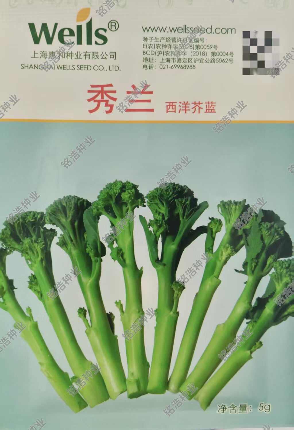 秀兰西兰苔种子芥兰西兰花台青花菜菜心芥蓝种籽四季春秋季蔬菜孑