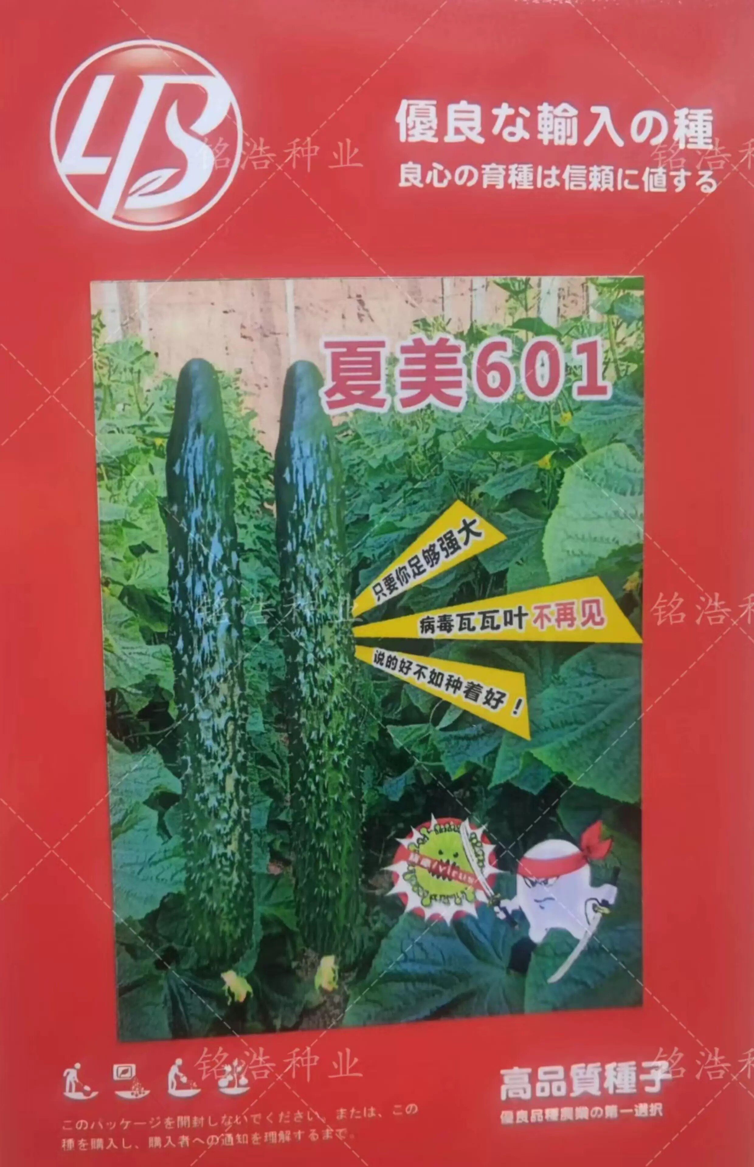 黄瓜种子强雌高抗瓦瓦叶高产抗病毒油亮耐热越夏大棚露天夏美601