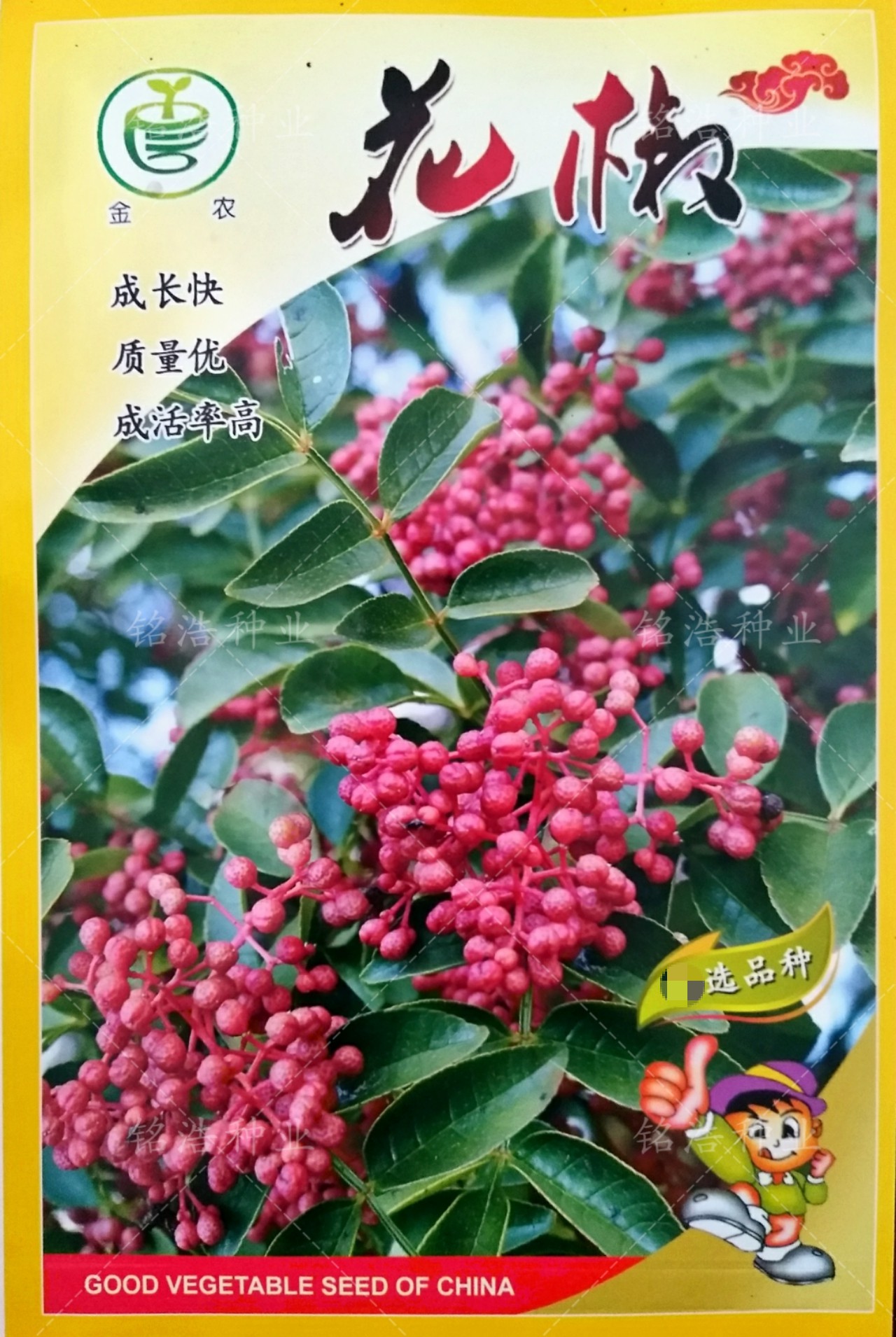 花椒种子大红袍花椒种子山椒红椒麻椒川花椒树刺篱笆调料蔬菜种籽图片