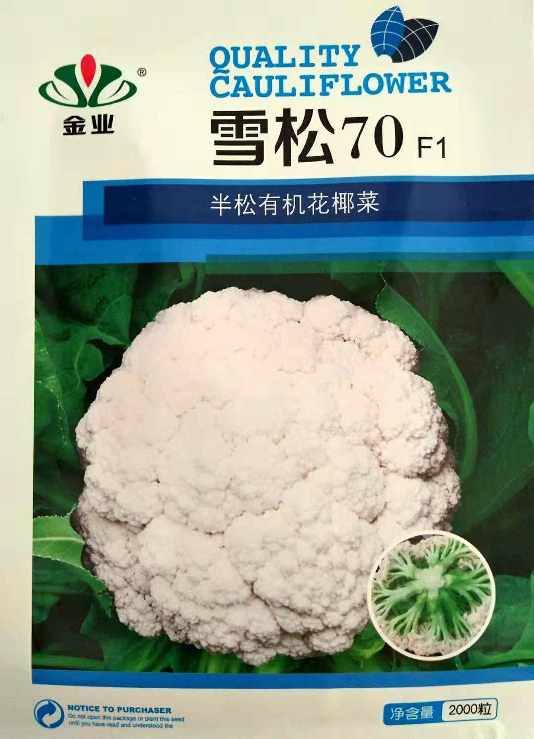 半松高产花菜种子脆甜花球松大梗淡绿花椰菜花籽春秋季蔬菜孑70天
