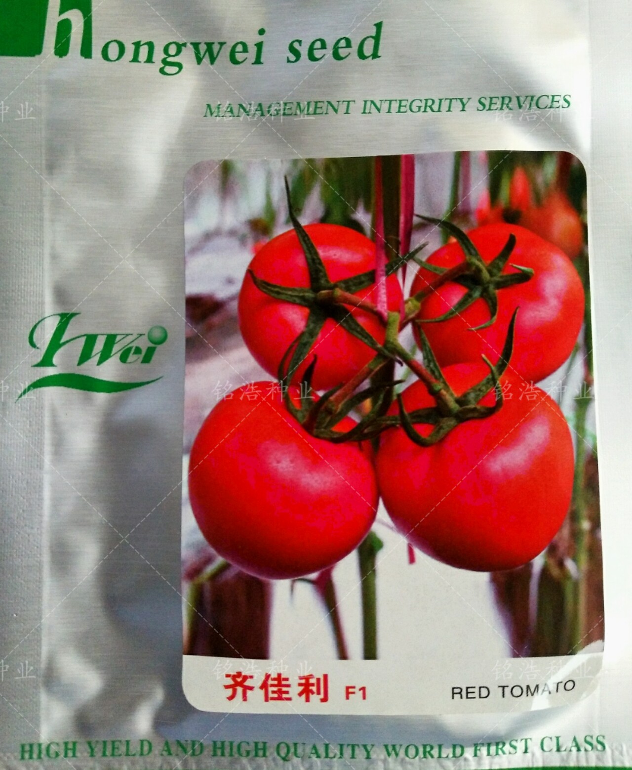 大红硬果番茄种子以色列抗TY西红柿籽春秋越冬大棚保护地播齐佳利