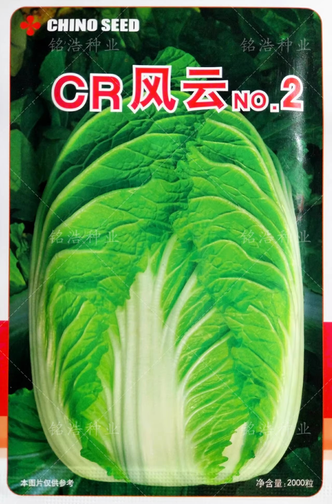 春播早熟高产种子抗病