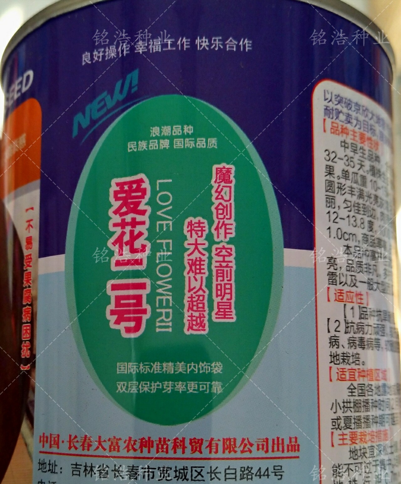 花皮红瓤早熟西瓜抗病强超甜耐裂