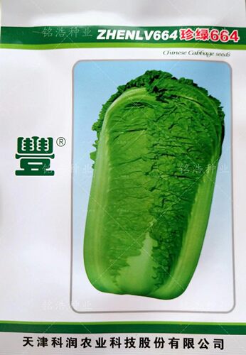 外叶深绿秋季播甜脆柔嫩