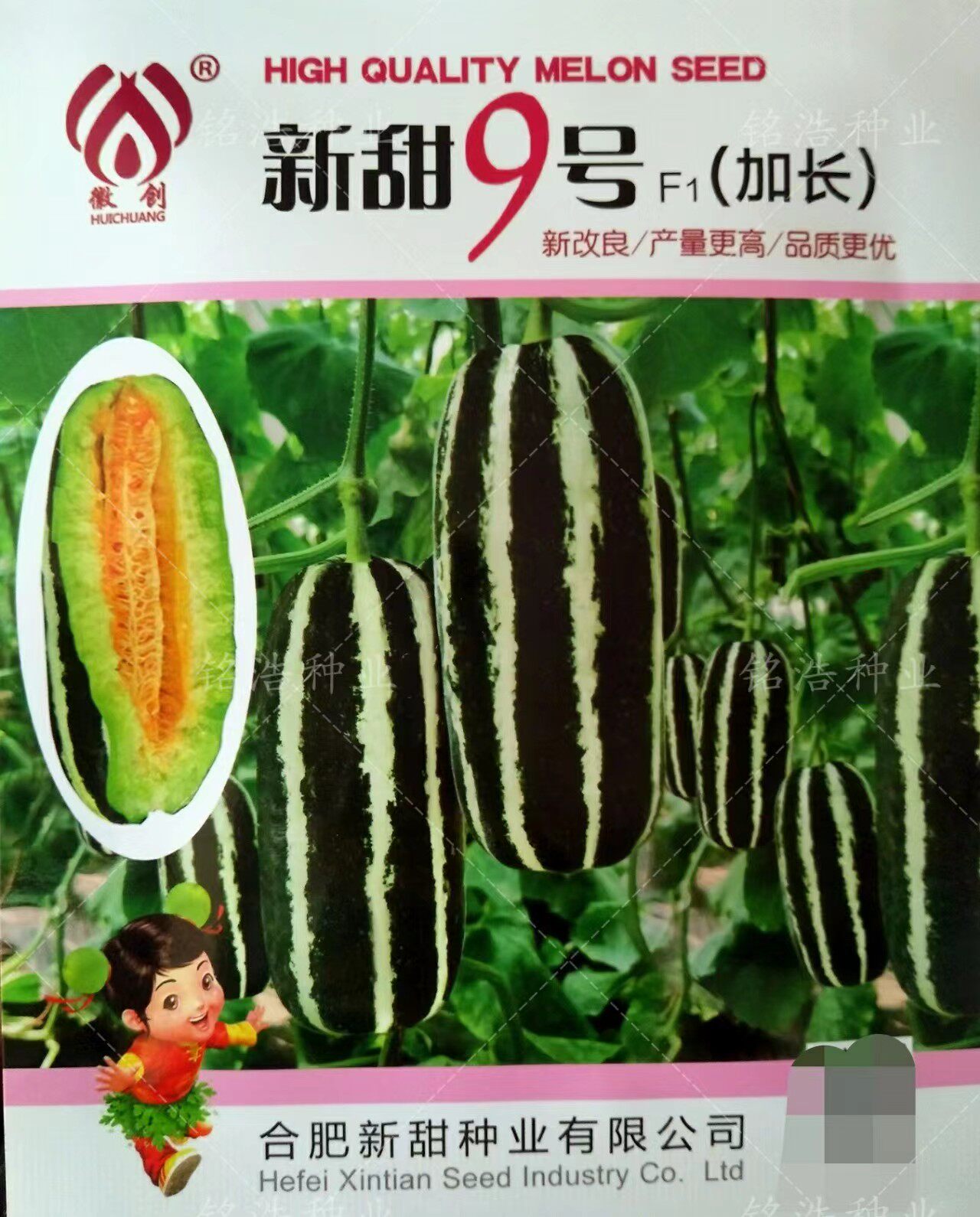 新甜9九号甜瓜种子薄皮超甜爽口博洋大香瓜甜瓜种籽春夏高糖早熟
