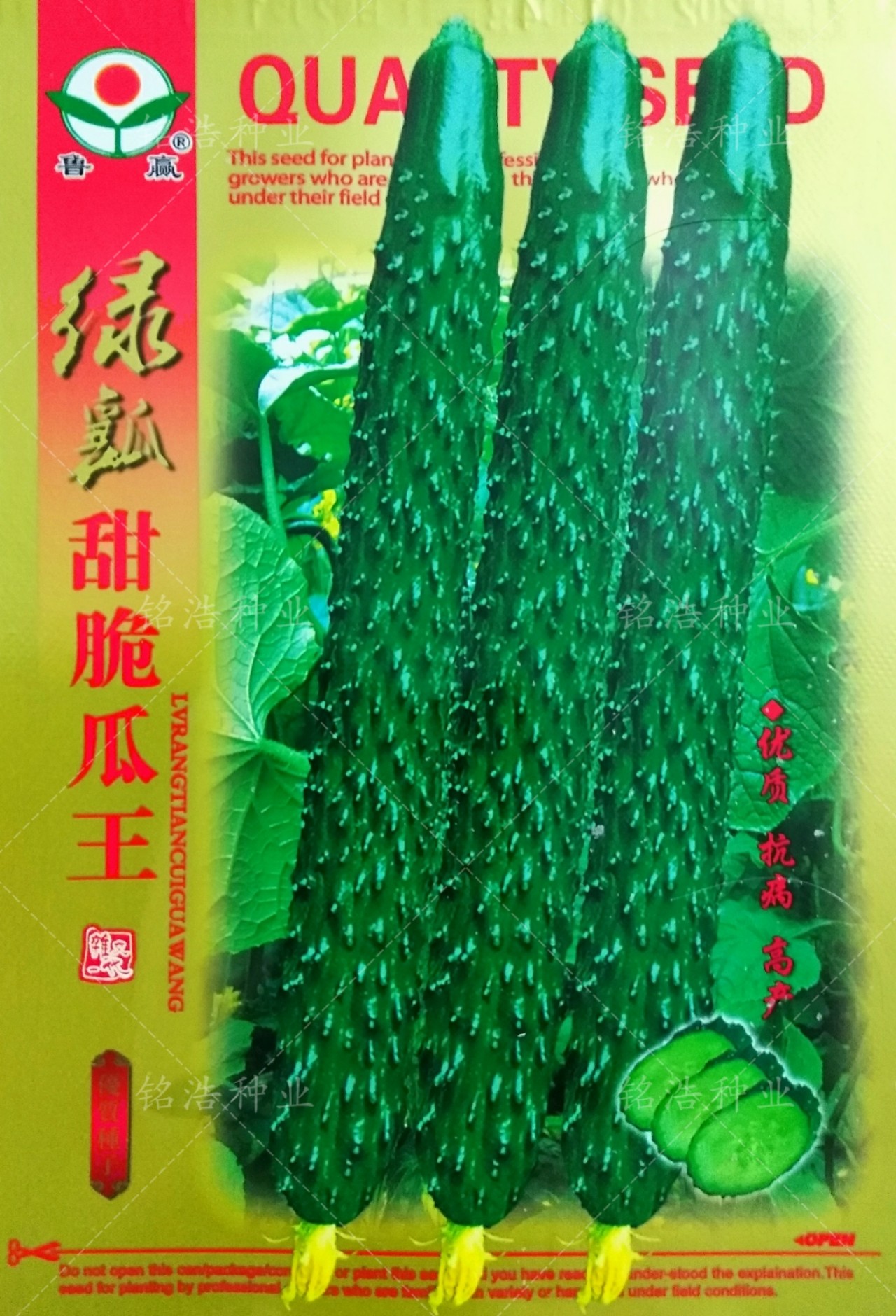 黄瓜种子青皮绿肉刺油亮黄瓜籽清香甜脆春秋季瓜果蔬菜孑甜脆瓜王,农用物资,蔬菜种子/种苗,淘宝优惠券,粉丝福利购,淘宝优惠卷