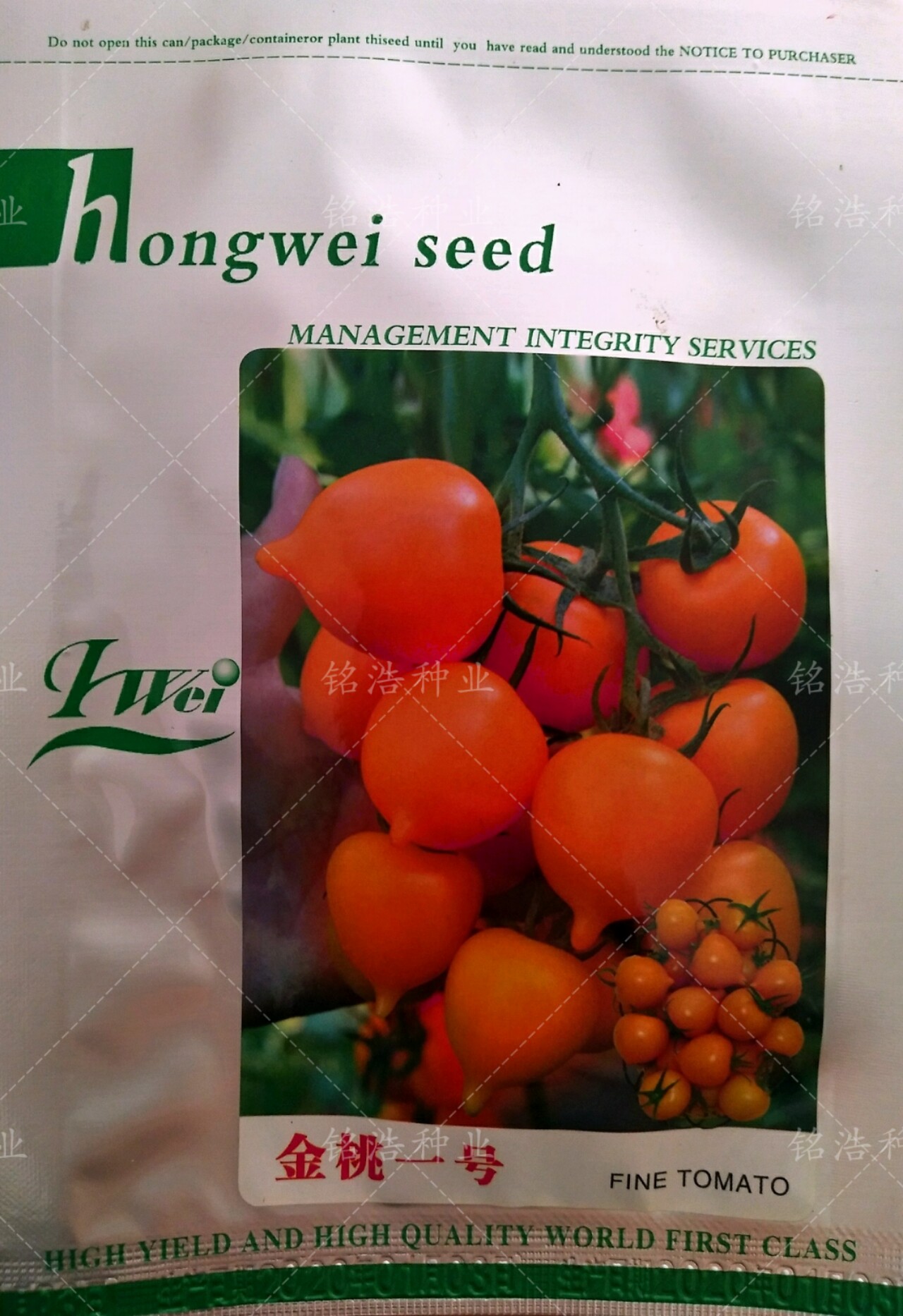 橙黄色桃型小番茄种子特色番茄籽口感好糖度高抗TY春秋季金桃一号