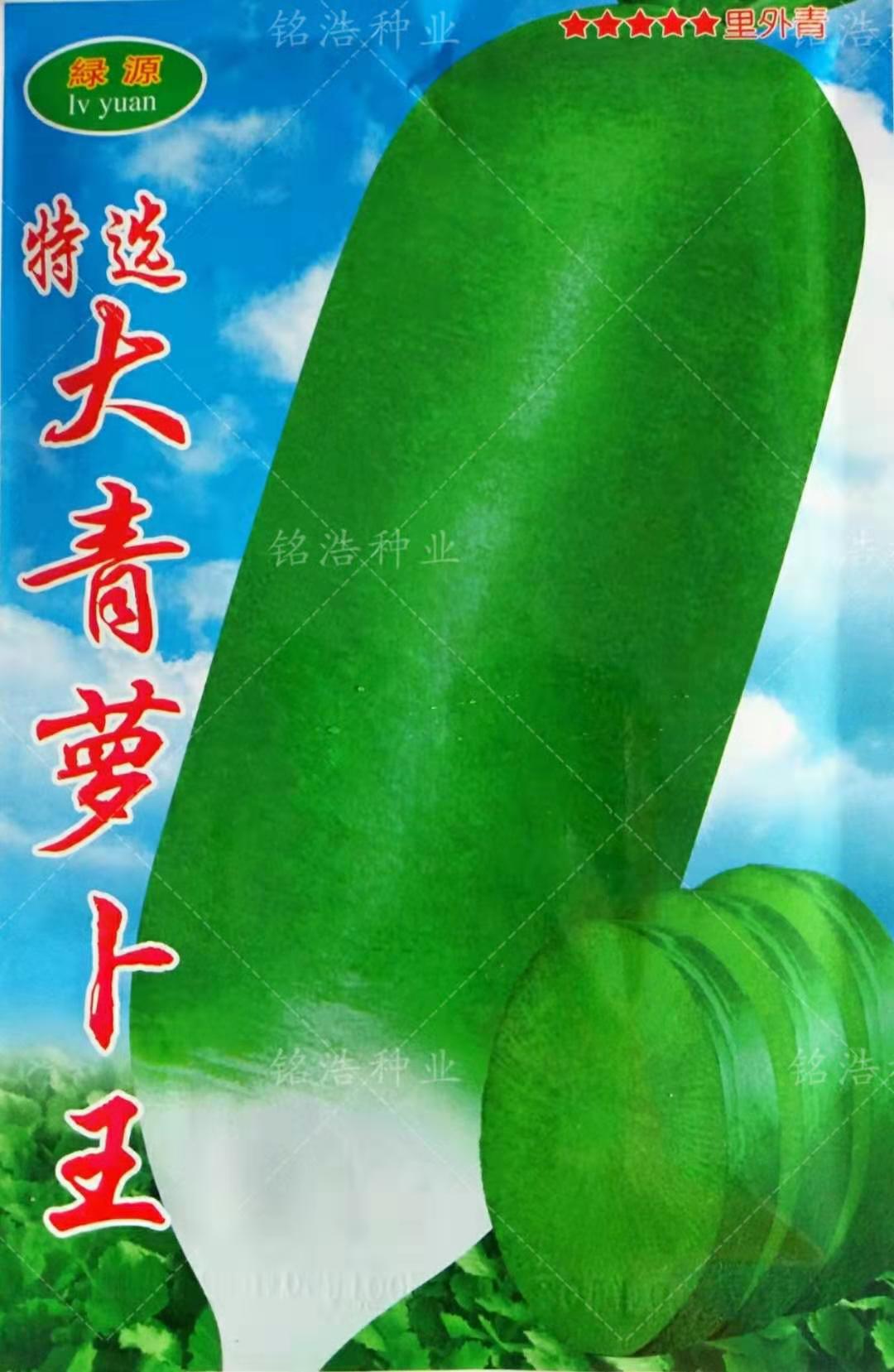 山东特选大青萝卜种子种籽耐储存秋季四季肉质翠绿甜脆多汁萝卜王