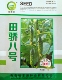 强雌旱黄瓜种子春秋冬季 小青瓜水果基地大棚盆栽蔬菜籽孑田骄八号