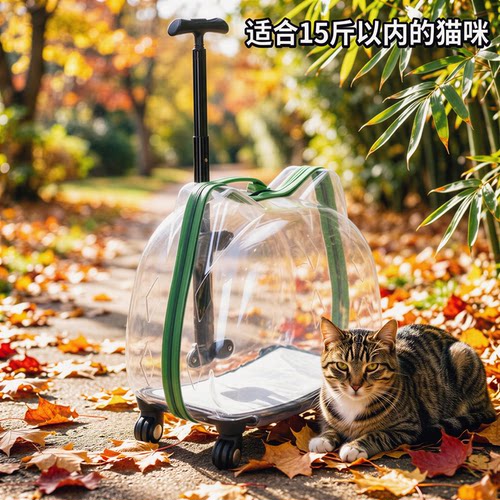 猫咪手拉透明适合15斤宠物拉杆箱