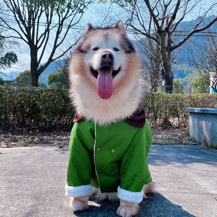 宠物东北花棉袄喜庆中大型犬泰迪猫咪金毛阿拉斯加狗衣服无袖秋冬