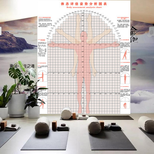 体态评估表背景墙体测评估图壁画