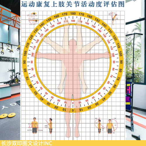 肩关节活动度功能检测表墙纸壁画