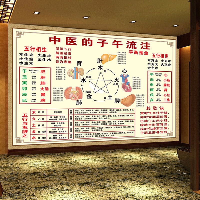 中医的子午流注墙纸中医馆诊所装饰壁画五行经络腑脏相生相克壁纸