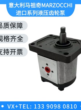 ALP2-D-6/9/10/12/13/16/20/22/25/30/34/37/40/50马祖奇齿轮油泵