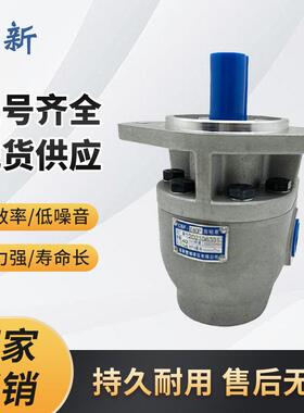 高压齿轮泵 CBF-E10P E16P E18P E25P E32P E40P阜新液压齿轮油泵